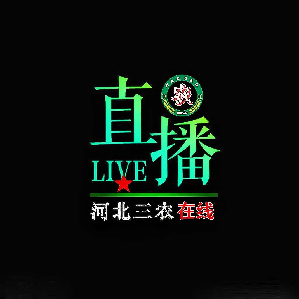 农产品电商标准化与物流优化_农产品电商特色_农产品电商运营策略