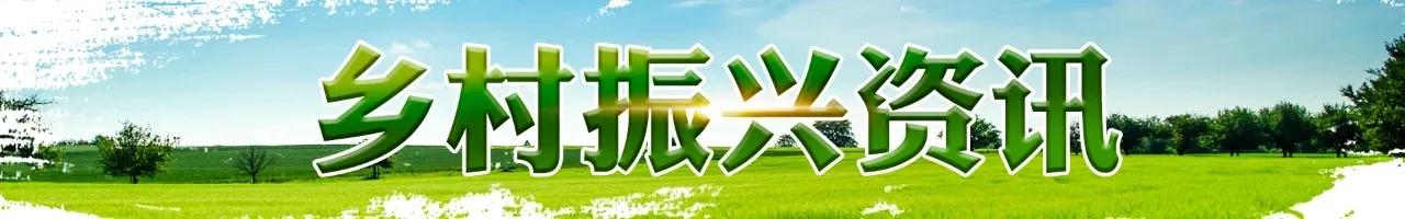 农产品电商运营策略_农产品电商标准化与物流优化_农产品电商特色