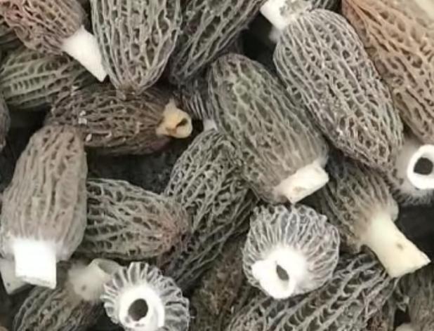 盘锦农产品供求信息网_贵州农产品产销对接_贵州特色农产品供需平台