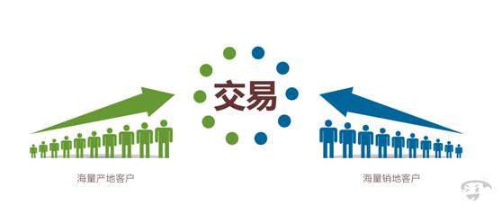 批发市场经验_柯老板农产品生意_农产品信息交易网