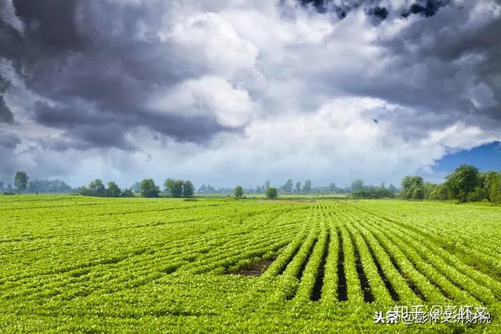 农业生产者销售自产农产品免征增值税_农产品免税范围_纳税人购进农业生产者销售自产的免税农业产品可以抵扣进项税额