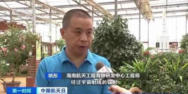 航天育种有啥成果？这些上过太空的种子后代已端上餐桌