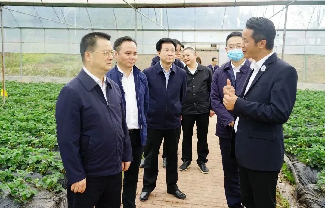 达州人大常委会全力助推农产品加工业高质量发展