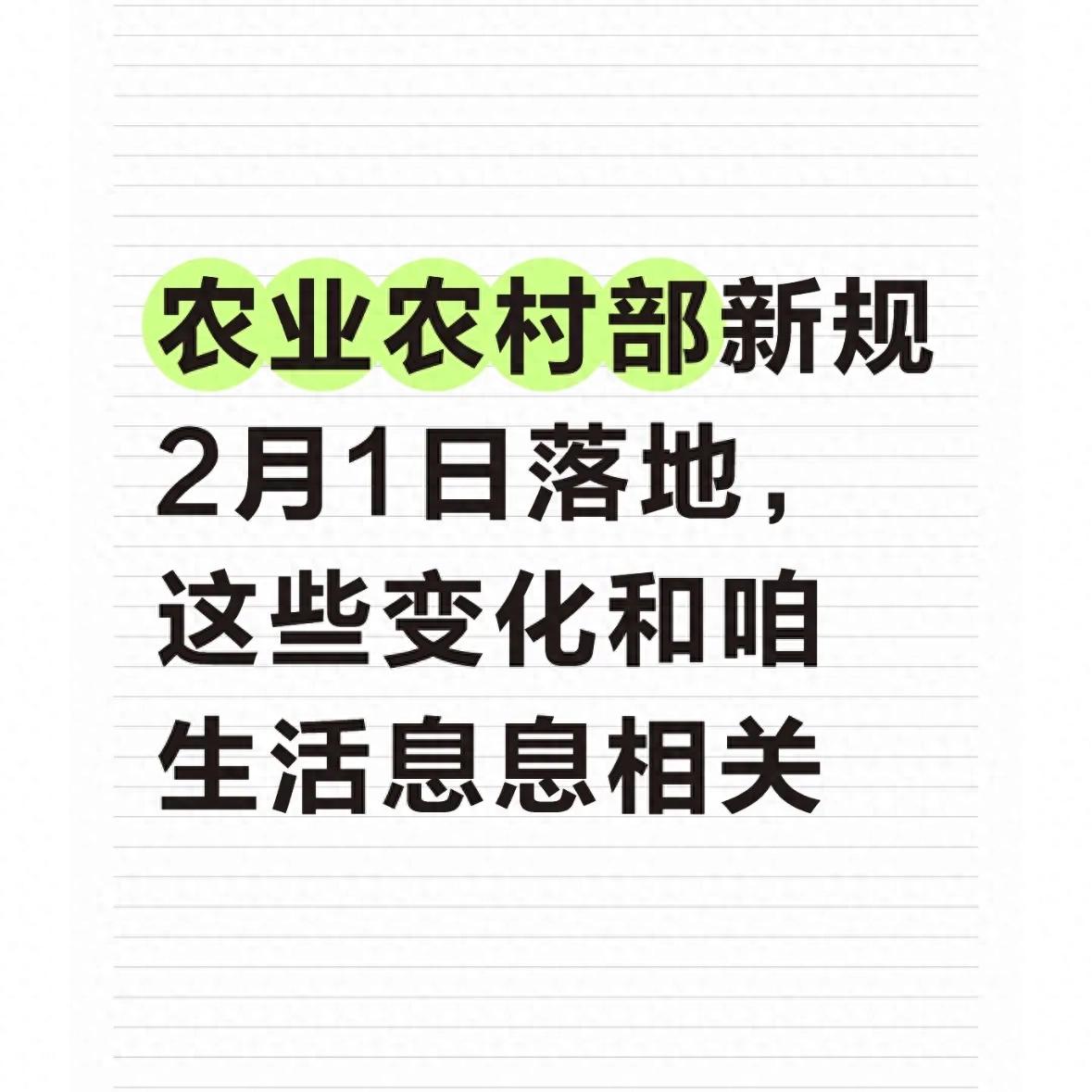 农业新规2月1日实施，从多方面发力，关乎农产品质量安全
