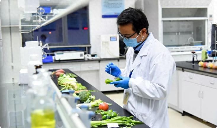 海南自贸港背景下，农产品食材快检与溯源政策解读及方案