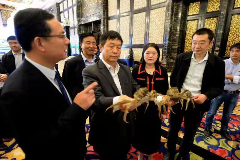 农产品有哪些品牌_盐都现代农业招商推介会_鲜之都盐都农产品区域公共品牌