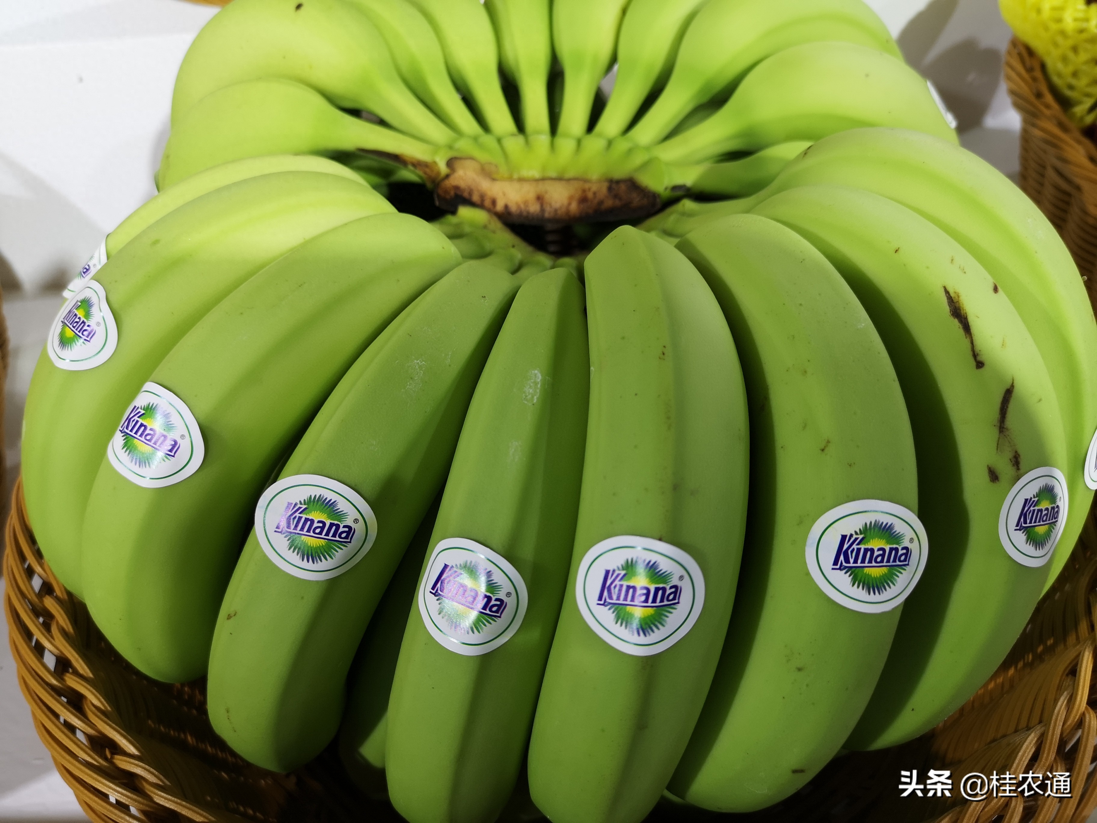 广西特色农产品品牌有哪些？南宁香蕉等水果上市时间及特点介绍