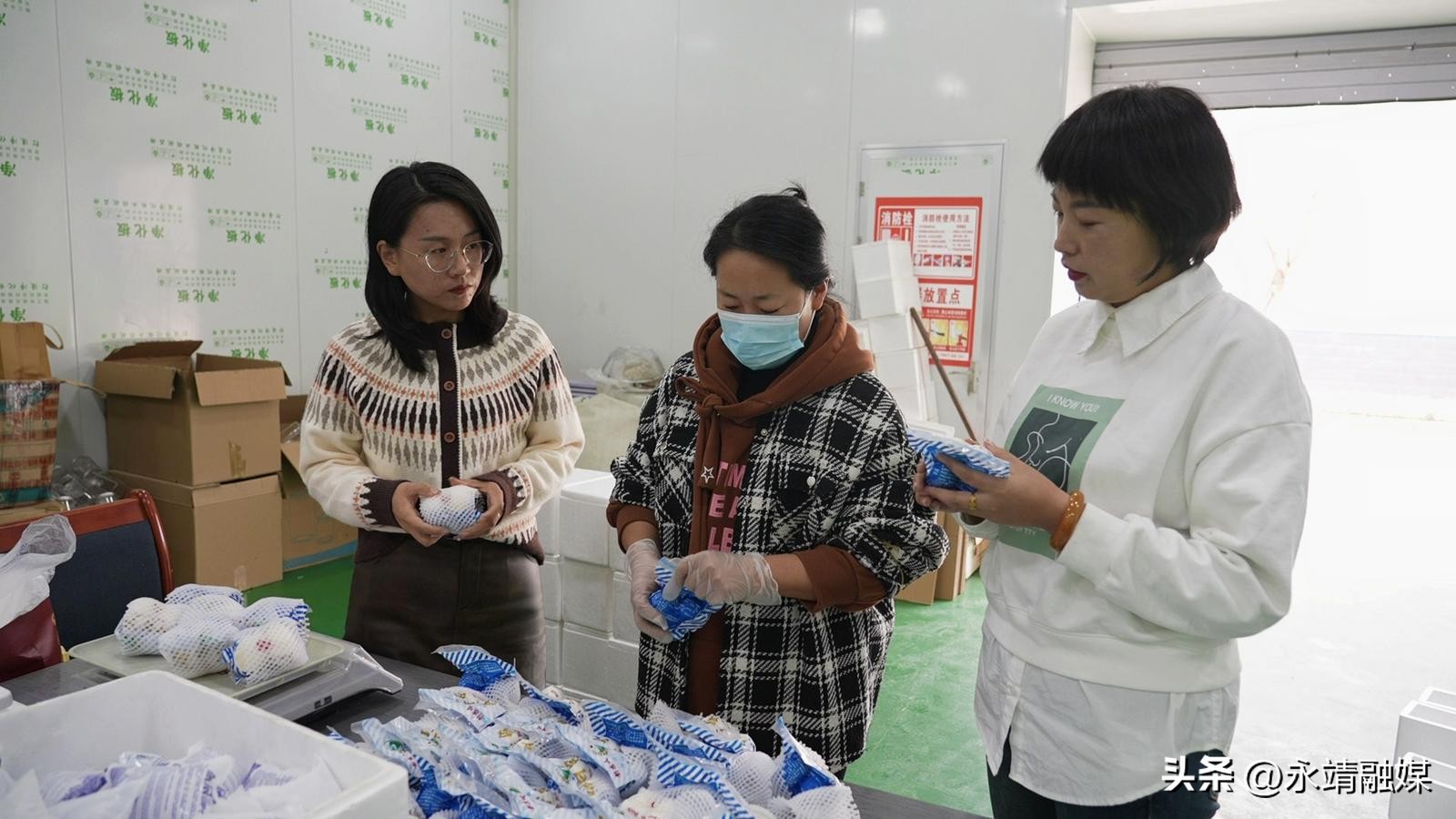 区域农业品牌化发展_农产品品牌营销研究_永靖礼盒经济品牌赋能
