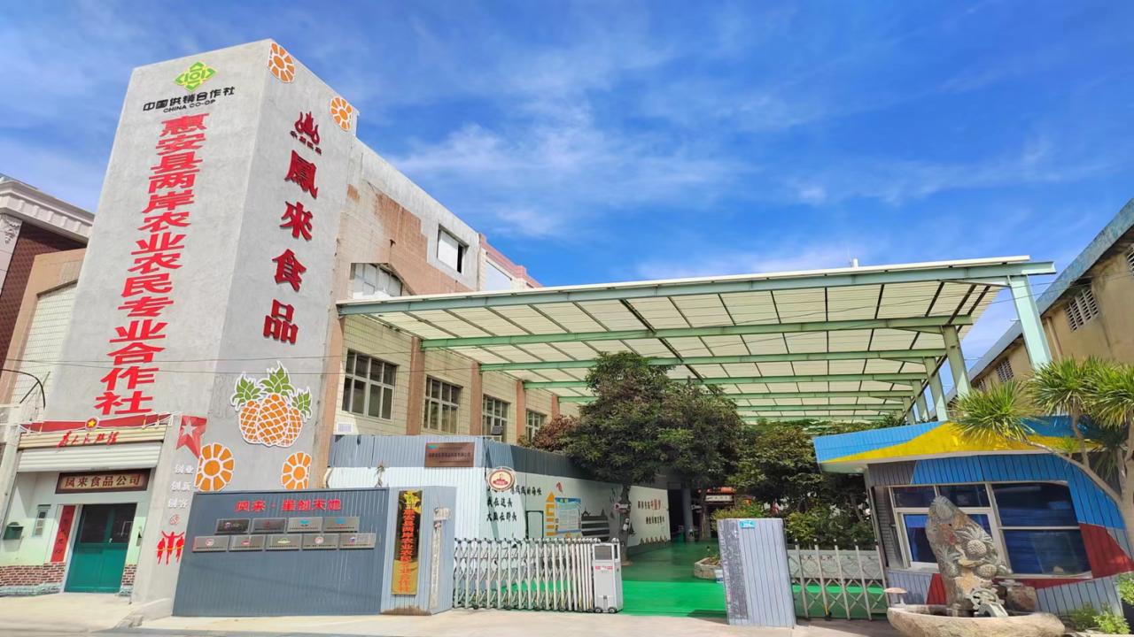 福建省特色现代农业_中国农产品销售网_福建省供销合作社农产品流通网络