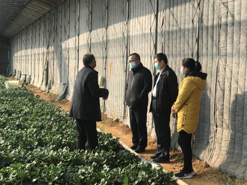 岱岳区农产品储备情况_岱岳区蔬菜生产供应_中国农产品销售网
