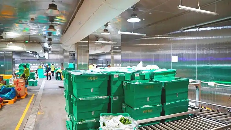 绿色食材配送_上海农产品配送公司_农产品运输公司