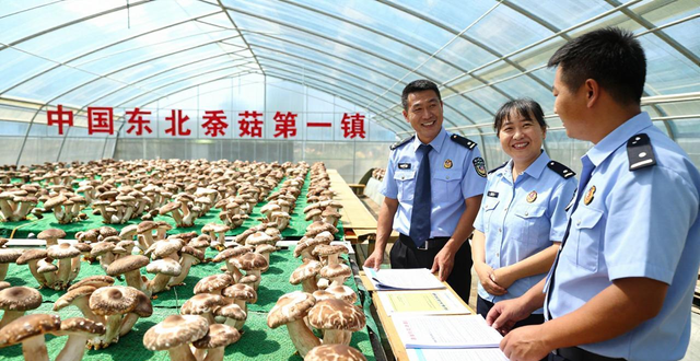 抚顺农产品_乡村振兴 辽宁特色农业产业集群 税惠服务