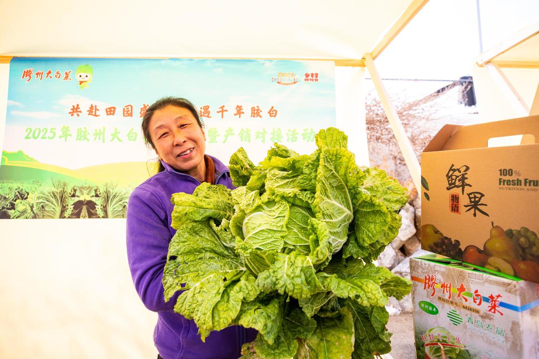 假冒胶州大白菜电商平台鉴别_正宗胶州大白菜种植历史_农产品地理标志名录