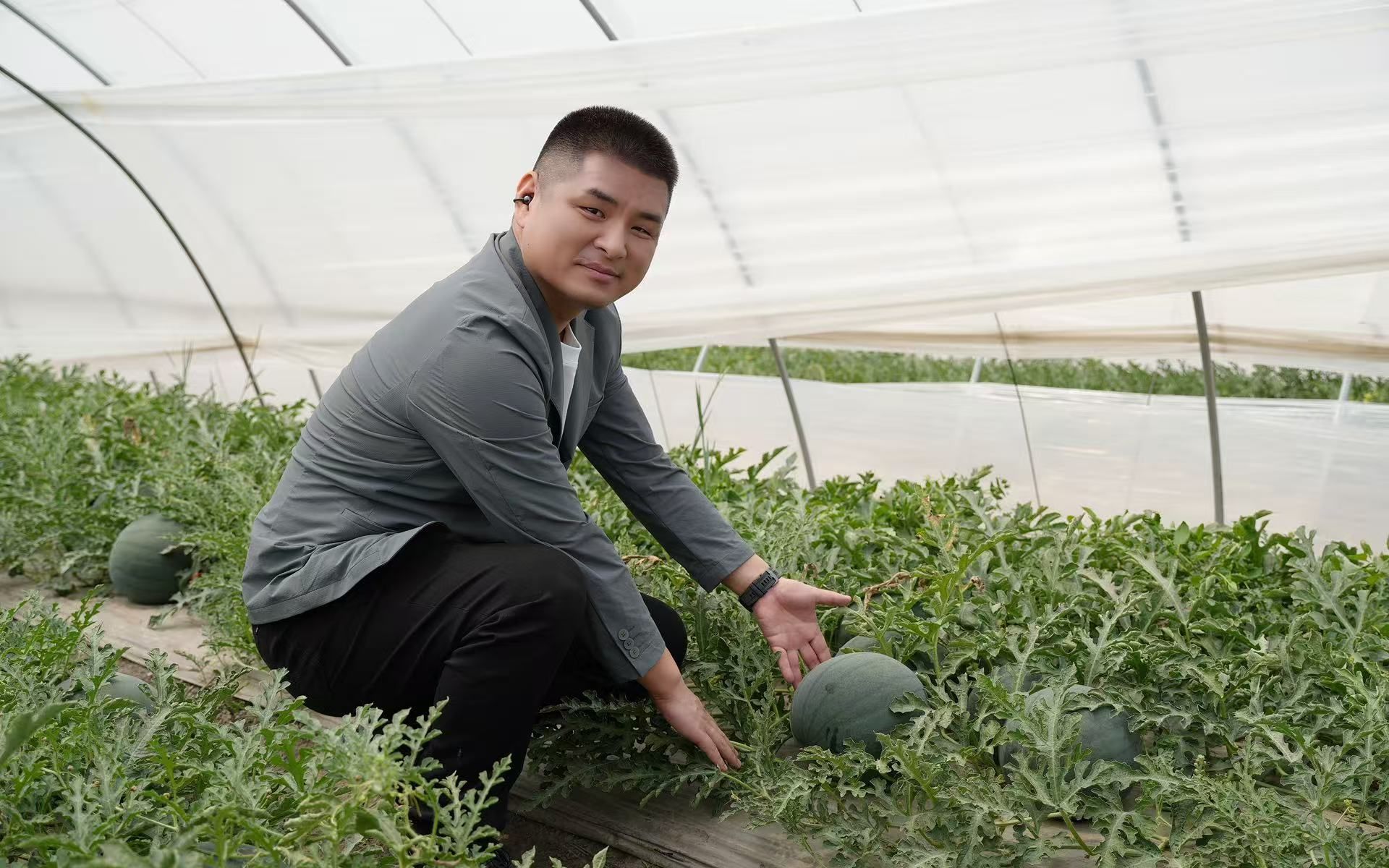 网上销售农产品_北大毕业生返乡创业 红薯种植基地管理 京津冀农产品交易中心