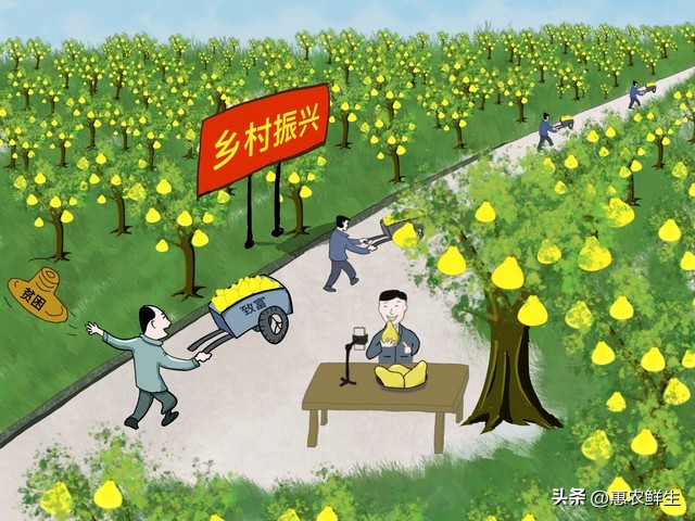 乡村集体经济高质量发展_农产品品牌建设的对策_乡村集体经济发展模式创新