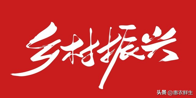 乡村集体经济高质量发展_农产品品牌建设的对策_乡村集体经济发展模式创新