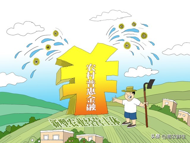 农产品品牌建设的对策_乡村集体经济发展模式创新_乡村集体经济高质量发展