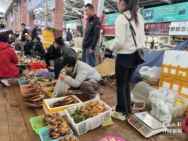 云南野生菌上市情况_云南农产品信息网_云南野生菌交易市场