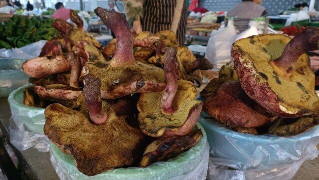 云南野生菌上市情况_云南农产品信息网_云南野生菌交易市场