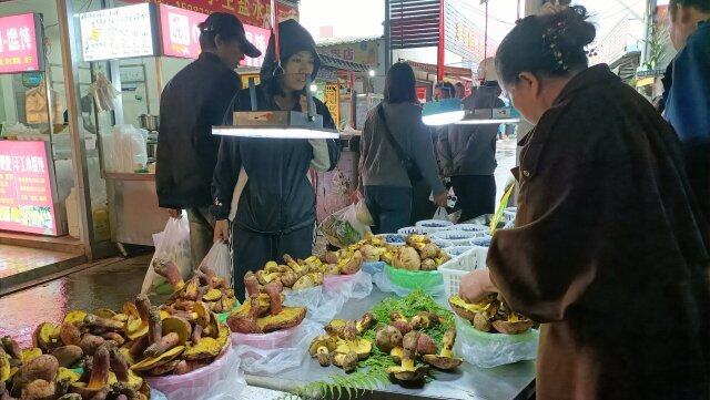 云南野生菌交易市场_云南农产品信息网_云南野生菌上市情况