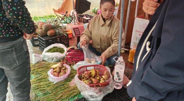 云南野生菌交易市场_云南野生菌上市情况_云南农产品信息网