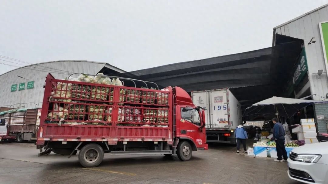 成都农产品批发市场春节保供 日供蔬菜4000吨