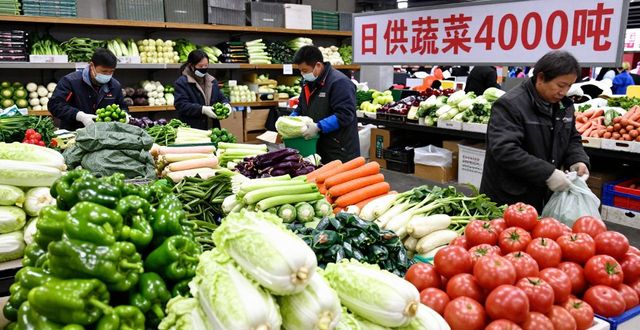 成都农产品中心批发市场春节供应_海吉星成都市场农产品价格稳定_成都农产品批发市场