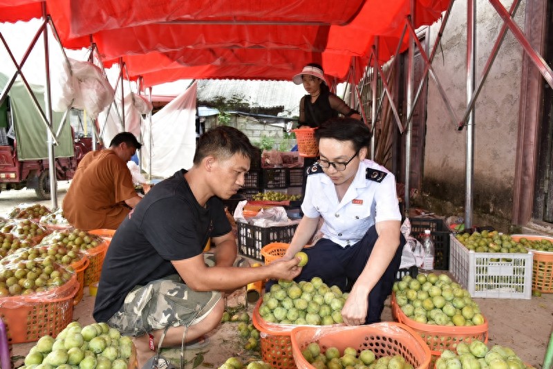黔西南蓝莓种植税收减免_黔西南蜂糖李税收优惠政策_农产品加工业税收