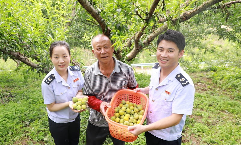 农产品加工业税收_黔西南蓝莓种植税收减免_黔西南蜂糖李税收优惠政策
