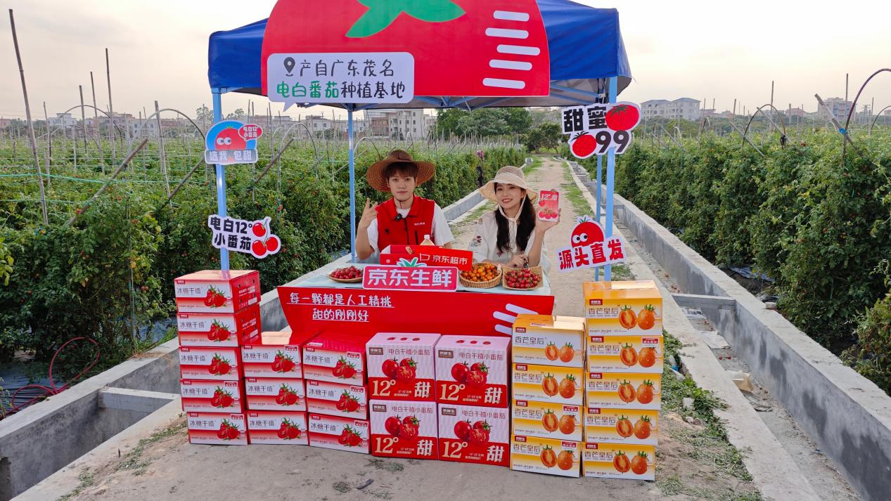 电白千禧12°小番茄稀缺性_京东生鲜新奇特水果_新奇特农产品大全图片