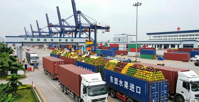 凭祥友谊关口岸水果通关_济南海吉星国际农产品_广西东盟水果进出口
