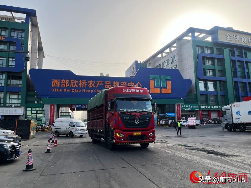 西安欣桥市场：春节蔬菜海鲜管够，价格稳中有降