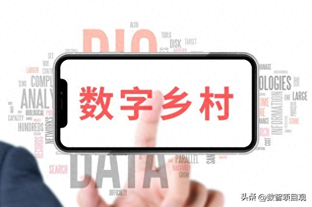 政务数字化项目中标技巧_农产品溯源软件_乡村振兴项目申报流程