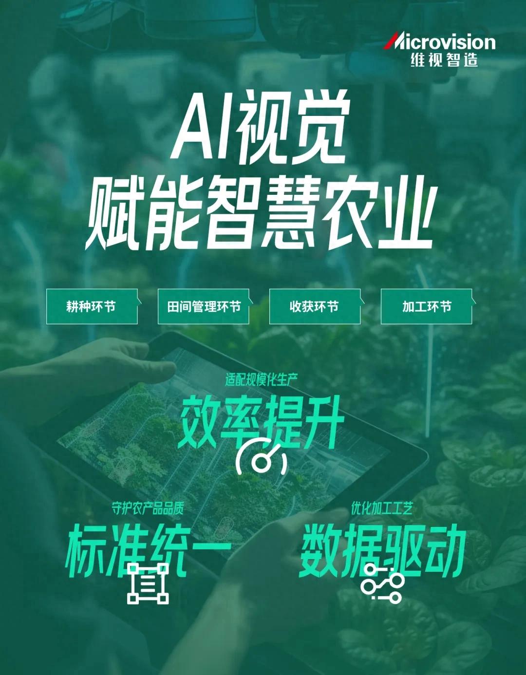 农产品质检提速3倍：智能视觉检测，精准筛除缺陷品