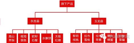 发展农村电子商务品牌农业的重要性_浅谈农产品电子商务_农村电子商务区域公共品牌建设及营销