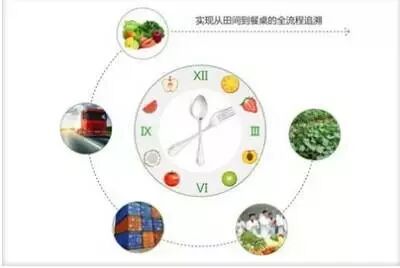 西安市重要产品追溯体系建设_西安市食品药品追溯系统_陕西农产品追溯系统