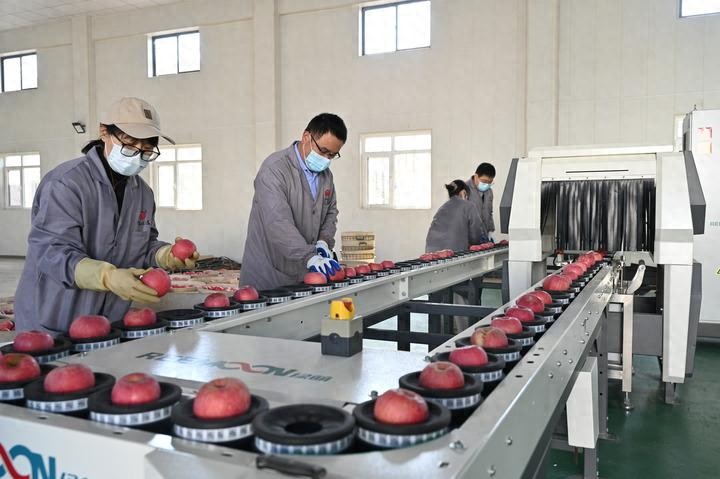 农产品深加工产业：中国味道出海，全球餐桌新宠