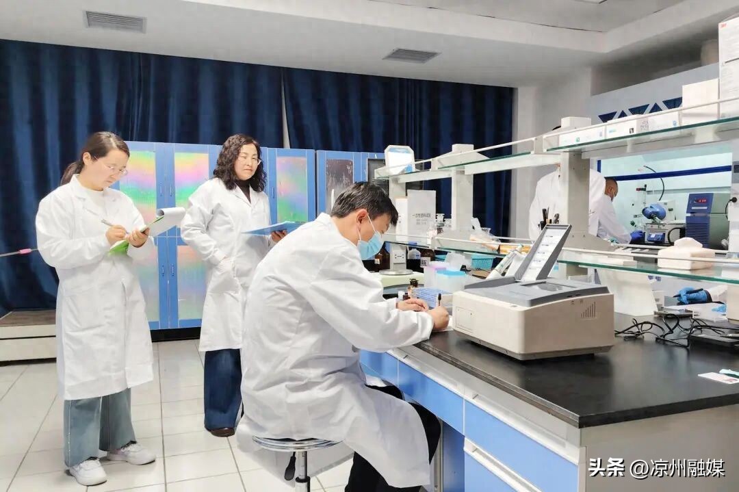 农产品质量安全检测工作如何提升？看武威市技能竞赛