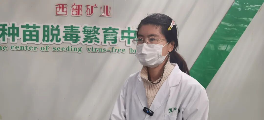 湟中区农产品质量安全检测中心_湟中区蔬菜农药残留抽检_农产品质量安全检测工作