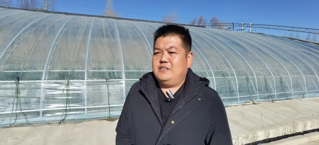 湟中区蔬菜农药残留抽检_湟中区农产品质量安全检测中心_农产品质量安全检测工作