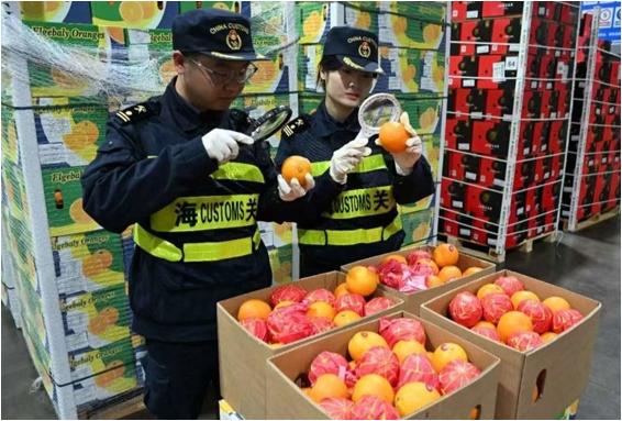 中非农产品贸易零关税新阶段_中国农产品贸易发展报告_中国对非洲53国零关税新政