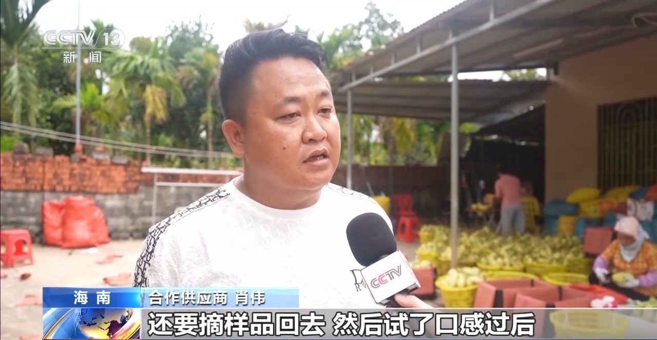 新农人直播带货_淘宝直播农产品好做吗_助农电商培训