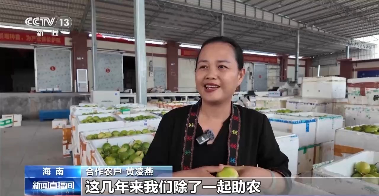 新农人直播带货_助农电商培训_淘宝直播农产品好做吗
