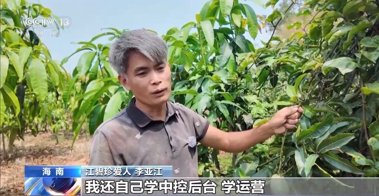 新农人直播带货_助农电商培训_淘宝直播农产品好做吗