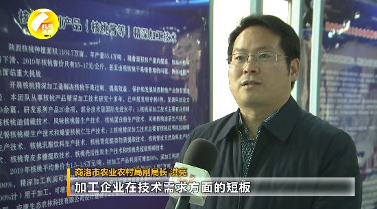 陕西3+x特色农产品加工技术对接_陕西农产品加工技术研究院_陕西农产品加工技术供需发布
