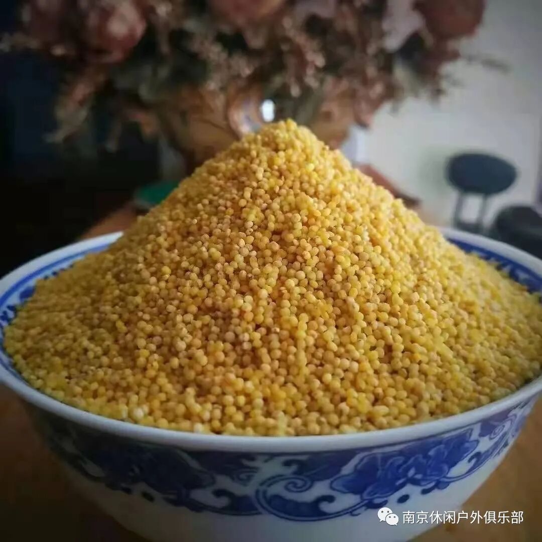 山西省有机绿色农产品_山西小米原产地_山西小米营养价值