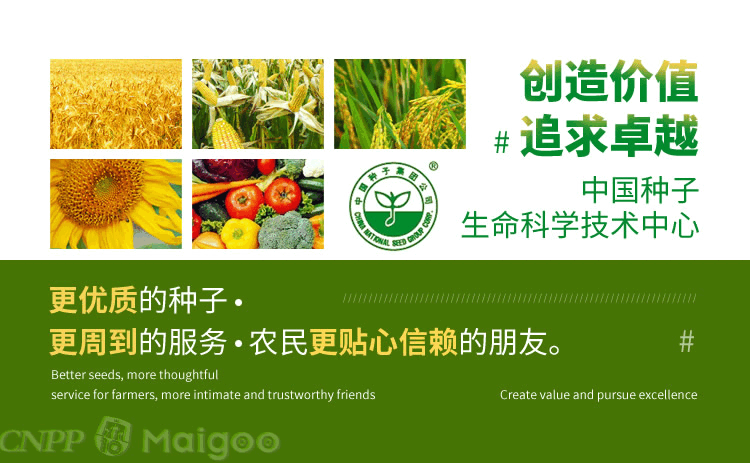 台湾农产品品牌大全_十大种子品牌推荐_种子品牌排行榜