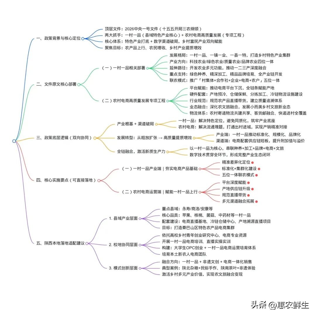 2026年中央一号文件一村一品_农产品可追溯体系_农村电商高质量发展工程