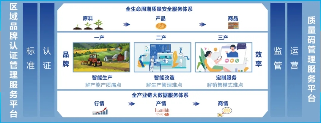 广元农产品分拣加工产业链升级_农产品可追溯体系_广元农村电商政策红利期分析