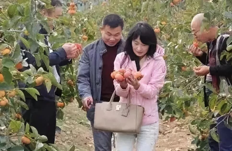 农产品+餐饮_农产品+网络直播_特色农产品营销方案